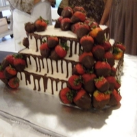 Briones' Groom's Cake Chocolate cake, buttercream icing, and LOTS of chocolate covered strawberries!