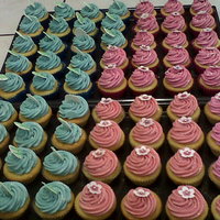 Ready To Party 70 cupcakes ready to go... what a first attempt at 'fancy' cupcakes !