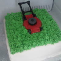 Lawn Mower Cake My brother in law works at Sears with lawn mowers so I thought it would be great to make him a cake for his birthday within his area of...