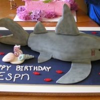 Shark Cake This was a really fun cakd to make for my son's birthday. I made it in 2009. I shaped the whole cake and covered it with fondant. The...