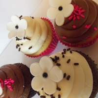 Cupcakes , Chocolate & Vanilla