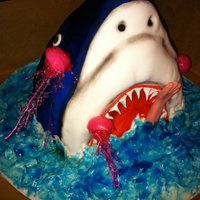 Shark Graduation This cake was for a girl who just graduated from high school and was accepted into a marine biology program for college. Her favorite sea...