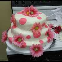 3 Tier Bridal Shower Cake this is my first attempt at makeing a tierd cake. I hade 3 tiers all made using 2 layer cakes. the 1st layer was chocolate, 2nd butter cake...