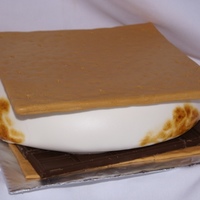 Smore I LOVE smores so when a lady asked me to make one for her daughter, I jumped on it. Fondant covered cardboard top, mmf covered vanilla cake...