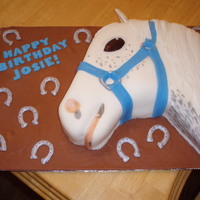 White Horse Cake This was my first attempt at a horse cake. It was for a little girl's birthday and she wanted a specific horse for the cake. Had some...