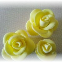 Yellow Gumpaste/fondant Roses First time trying to make gumpaste/fondant roses..Had fun trying this out.