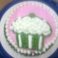 Wilton's Class 1 buttercream first time using piping gel to transfer