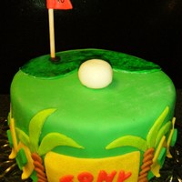 Gone Golfing Made for a friend's surprise birthday party. He's a huge golfer! All MMF with WASC and buttercream icing