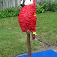 Jimmy Buffett Parrothead Cake This cake was made for my husband's birthday last week. It is a madera cake carved and coated with vanilla buttercream then covered in...