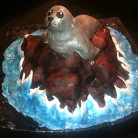 Seal Birthday Cake For Emma - Pic 1 A birthday cake for my seal-loving girlfriend. I deconstructed a chocolate cake and used chocolate rolls to make the rocks, then covered...