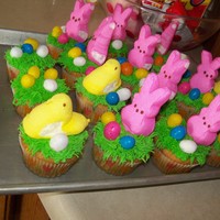 Bunny & Chick Peep Cupcakes Yellow cupcakes with buttercream frosting, marshmallow Peeps and candy robin eggs.