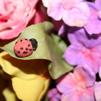 Mother's Day Cake I made this for my mother on Mother's Day. Gum paste flowers with a fondant flower pot cake.