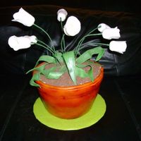 Potted Tulip Plant My first stab at tulips...tried gumpaste first (need some practice working with it), ended up using fondant. Pot is covered in fondant and...