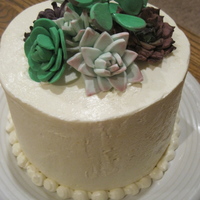 Succulent Birthday Cake These were my first attempt at gumpaste sucullents