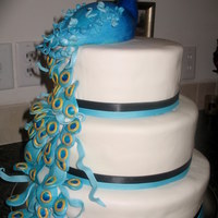 Abstract Peacock The bride sent me a photo of a cake to replicate. I don't know who did the original cake, but this was my interpretation. Buttercream...