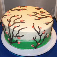 Cherry Blossom Cake Customer wanted a nice cake that wasn't 'birthday-ish'. So I did a nice springy cherry blossom design.WASC cake w/out almond...