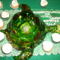 Turtle Cake By Tracy S 