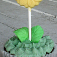 Sunflower Cupcakes Chocolate candy sunflower with a chocolate cupcake