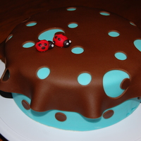 Lady Bugs Two cute little lady bugs on a Chocolate Fondant Table Cloth....