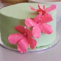 Birthday Vanilla cake, less-sweet BC, and gumpaste hibiscus. My first time attempting gumpaste flowers - I learned alot & was excited at how...