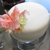 My Birthday Random vanilla cake pulled out of the freezer (cheating, I know). Another attempt at sugar flowers, this time trying to hand paint them (...