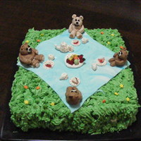 Teddy Bear Picinc 