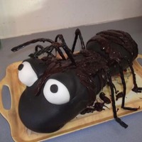 Chocolate Covered Ant Cake My first chocolate marshamallow fondant cake. I made CMMF as it was recommended if needing black fondant. The melted and powdered chocolate...