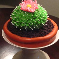 Cactus Cake This was one of my first cakes ever. I was curious as to whether my stainless steel mixing bowl would work as a cake pan. It worked...