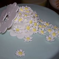 Daisies I made this cake for the last Wilton Gumpaste and Fondant class.