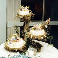 Garden Wedding This is a pic of my wedding cake. Didn't had time to make sugar flowers. I had soo much fun designing it. My dad and I searched for...