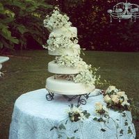 Barrow_Wed.jpg This was for a very good friend's wedding. They wanted something simple with loads of fresh orchids.