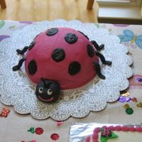 1St Birthday This was a personal cake for my baby cousin's 1st birthday. You can see a tiny corner of the large cake. I forgot to take a picture of...