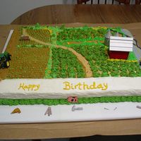 Farm This was for my great uncle's 70th birthday. It was made to look like his farm--HUGE cake.
