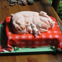 Pig Grooms Cake 