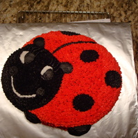 Ladybug Cake 