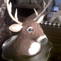 Deer Head Cake I made this for father's day. Chocolate cake w/ mocha filling/frosting (conveniently brown). Antlers, ears and nose are gumpaste. Head...