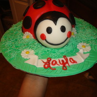 Ladybug Birthday Cake The cake that inspired me to want to actually take some classes and get better. This was a birthday cake for my goddaughter's 1st...