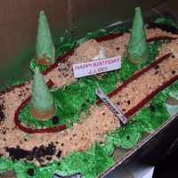 Dscf0371.jpg This is my first decorating experience. This was made for my step-brother for his 13th birthday. It's a cupcake cake. Decorated with...