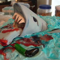 Birthday Cake For My Grandson My grandson wanted a gory shark cake. This was the 3rd cake I had ever made after my Wilton classes. Thanks to ideas from other cakes on CC...