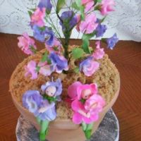 Potted Sweet Pea Cake With Fairies 