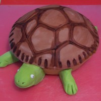 Turtle Cake 