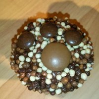 Teddies And Paws I was asked to make cupcakes for someone's birthday who didn't want a full size cake. She asked for anything chocolatey so I came...