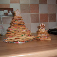 Christmas Trees I made a biscuit tree to take in to the people at work. Just simple star shaped biscuits of different sizes, layered at different angles on...