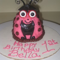 Ladybug Smash Cake this went with the flower/ladybug cake. this was bella's personal smash cake so it had some extra icing on it! :@)