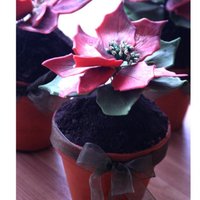 Poinsettias In Pots gum paste poinsettia flowers in a cake pots with cookie dirt