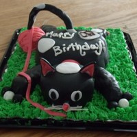 Cat Cake 