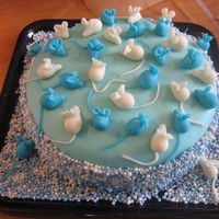 My Sons Birth Cake for my son mouses blue and white.