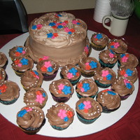 Chocolate Cake And Cupcakes Simple yet beautiful