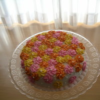 First Cake At Cake Decorating Class This was my first cake at my Wilton method decorating class. The actual cake was decorated differently in class, with a RI design, but the...