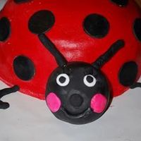Ladybug All Fondant. Thanks to all who gave me advice especially Sugarshack.